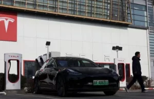 Tesla won’t harm Indian EV makers. Govt’s real challenge is China Tesla won't harm Indian EV makers. Govt's real challenge is China