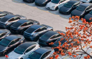 Tesla China focuses on exports as Q2 begins Tesla China focuses on exports as Q2 begins