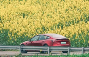 Tesla China Weekly Sales Drop Sharply on Early-Quarter Export Focus Tesla China Weekly Sales Drop Sharply on Early-Quarter Export Focus