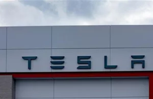 Tesla Struggles in China Tesla Struggles in China