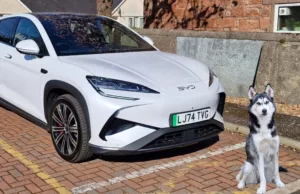 Test-Driving The 2025 BYD Seal: Is It Dog Friendly? Test-Driving The 2025 BYD Seal: Is It Dog Friendly?