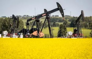 ANALYSIS | New Liberal government should scrap EV tariffs on China to help trade, climate goals, say critics ANALYSIS | New Liberal government should scrap EV tariffs on China to help trade, climate goals, say critics