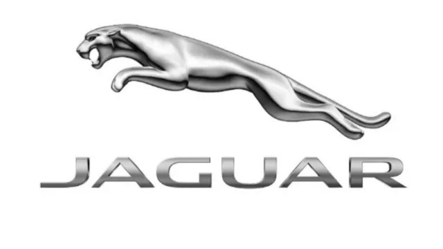 Farewell to Jaguar and Volkswagen - an expert warns they could soon disappear as they face serious difficulties in adapting to today's market - BYD passes them by