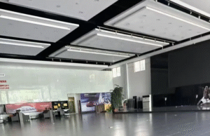 Major BYD dealer network collapses in eastern China Major BYD dealer network collapses in eastern China