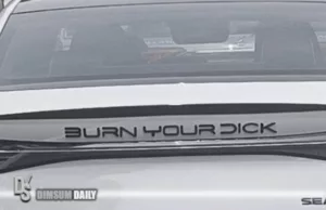 Owner playfully renames BYD logo to ‘Burn Your Dick’ on popular electric car Owner playfully renames BYD logo to 'Burn Your Dick' on popular electric car