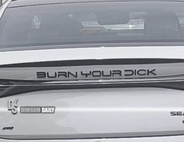 Owner playfully renames BYD logo to 'Burn Your Dick' on popular electric car