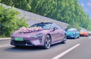 Tesla Status Dropping in China as BYD Rises & Xiaomi Soars Tesla Status Dropping in China as BYD Rises & Xiaomi Soars