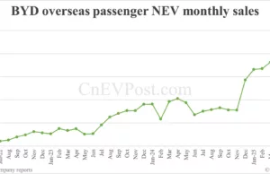 BYD chairman sees strong overseas sales this year BYD chairman sees strong overseas sales this year