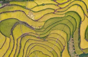 China’s EV makers gain ground in global rankings China’s EV makers gain ground in global rankings