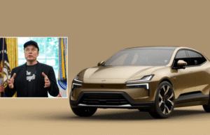 Elon Musk’s ‘brand damage’ of Tesla causes motorists to buy electric cars from China instead Elon Musk’s 'brand damage' of Tesla causes motorists to buy electric cars from China instead