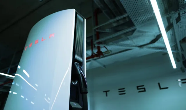 As Tesla Falters, BYD Steps Up to Assert Its Global EV Market Dominance