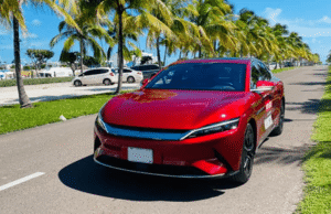 BYD and Chery claimed over €45mn in ineligible EV subsidies BYD and Chery claimed over €45mn in ineligible EV subsidies