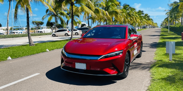 BYD and Chery claimed over €45mn in ineligible EV subsidies