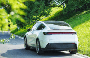 Tesla full self-driving user in China shares what it’s been like after months of use Tesla full self-driving user in China shares what it’s been like after months of use