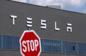 Tesla sales slump once again as Musk pays price for Trump ties Tesla sales slump once again as Musk pays price for Trump ties