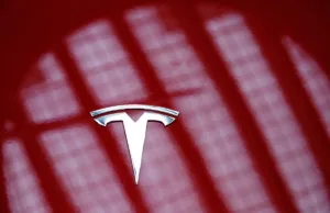 Tesla’s Long-Awaited India Debut Bets on Luxury Vehicle Buyers Tesla’s Long-Awaited India Debut Bets on Luxury Vehicle Buyers