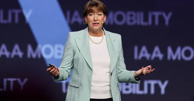 Exclusive: Germany lobby group says China's rare earth curbs could halt auto output Exclusive: Germany lobby group says China's rare earth curbs could halt auto output