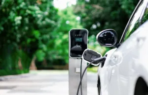 Global powerhouse dominates Tesla in highly anticipated EV race: ‘Nobody looked at us’ Global powerhouse dominates Tesla in highly anticipated EV race: 'Nobody looked at us'