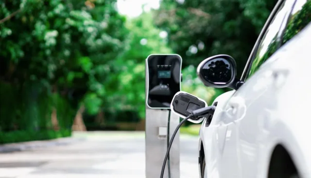 Global powerhouse dominates Tesla in highly anticipated EV race: 'Nobody looked at us'