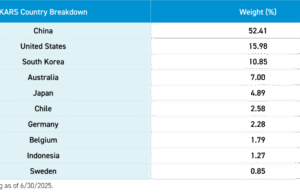 How China’s EV Industry Is Shaping The Global Market: Insights From The Founder Of China’s Top EV Blog How China’s EV Industry Is Shaping The Global Market: Insights From The Founder Of China’s Top EV Blog