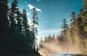 Tesla Gets Hit By A Class-Action Lawsuit In California, Overshadowing The Launch Of The Model Y L In China And The FSD (Supervised) In Japan Tesla Gets Hit By A Class-Action Lawsuit In California, Overshadowing The Launch Of The Model Y L In China And The FSD (Supervised) In Japan