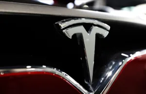 Tesla sales plunge in EU despite surge in electric car market Tesla sales plunge in EU despite surge in electric car market