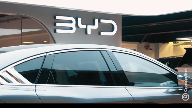 BYD calls for 100 carmakers to die as China bans discount warfare