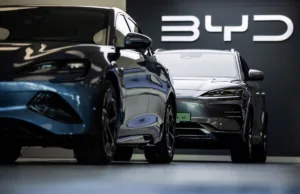 BYD Profit Drop May Be Worrying Sign of Things to Come BYD Profit Drop May Be Worrying Sign of Things to Come