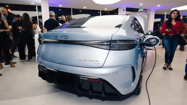 BYD’s Fall Should Act As A Warning