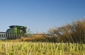 Canada may get cheap Chinese EVs because of cooking oil Canada may get cheap Chinese EVs because of cooking oil