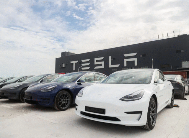 Tesla Ordered to Release Full Data in Legal Battle with Rights Advocate Owner