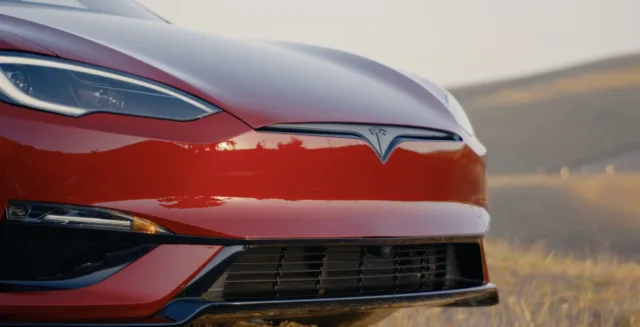 This signature Tesla feature is facing a ban in one of its biggest markets