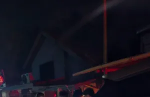 BYD, VinFast Support Campaigns to Assist Cebu Earthquake Survivors BYD, VinFast Support Campaigns to Assist Cebu Earthquake Survivors