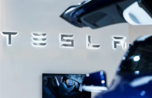 Speed vs. strategy: the diverging paths of Tesla and China’s EV makers Speed vs. strategy: the diverging paths of Tesla and China's EV makers