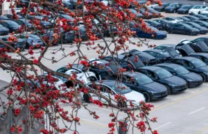 Tesla China Sales Jump in Third Week of October to 16,500 Units Tesla China Sales Jump in Third Week of October to 16,500 Units