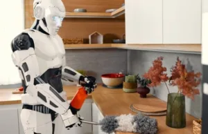 Tesla Needs to Get its House in Order as China’s JD.com Puts ‘Family Friendly’ Robot on Sale Tesla Needs to Get its House in Order as China’s JD.com Puts ‘Family Friendly’ Robot on Sale