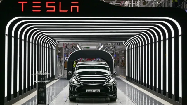 Tesla sales almost halve in Europe as Chinese rivals gain ground
