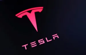 Tesla’s cheaper cars face Europe test Tesla's cheaper cars face Europe test