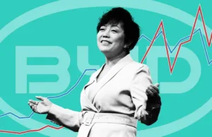 ‘The Stella show’: the executive at the heart of BYD’s global push ‘The Stella show’: the executive at the heart of BYD’s global push