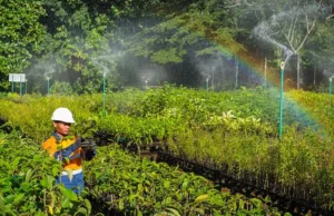 Trade-offs behind the electric car boom in Southeast Asia Trade-offs behind the electric car boom in Southeast Asia