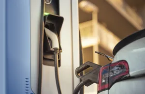 3 Reasons BYD Could Still Surprise the Bears 3 Reasons BYD Could Still Surprise the Bears