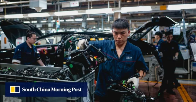 China’s EV parts could be in Tesla’s crosshairs – is a total ‘de-risk’ feasible?