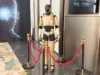 China’s Star Dynamics Unveils First Humanoid Robot China's Star Dynamics Unveils First Humanoid Robot