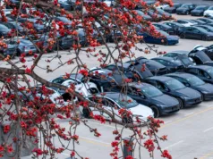 Tesla China delivery centers packed as Q4 2025 enters its final month Tesla China delivery centers packed as Q4 2025 enters its final month