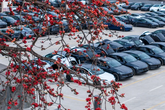 Tesla China delivery centers packed as Q4 2025 enters its final month Tesla China delivery centers packed as Q4 2025 enters its final month