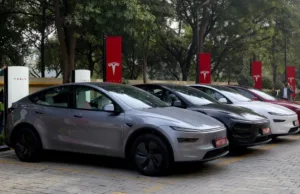 Tesla struggles to recoup as sales fall, European business suffers Tesla struggles to recoup as sales fall, European business suffers