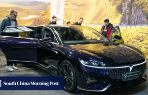 China’s EV makers post stellar sales before incentives are phased out next year China’s EV makers post stellar sales before incentives are phased out next year