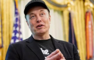 Elon Musk retweets post on Tesla Model Y surviving 800-metre cliff fall in China Elon Musk retweets post on Tesla Model Y surviving 800-metre cliff fall in China