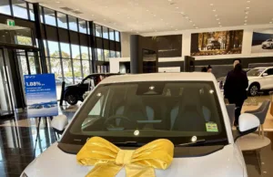 Look Out For Your Chips, The Seagull Is Coming! Look Out For Your Chips, The Seagull Is Coming!