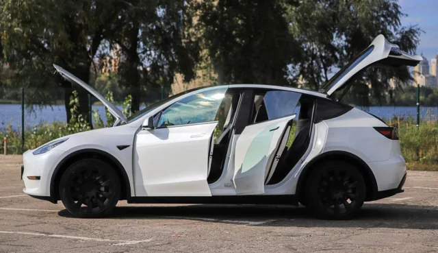 Officials announce ban on popular Tesla feature linked to over a dozen deaths: 'You're in a box that's on fire and you can't get out'